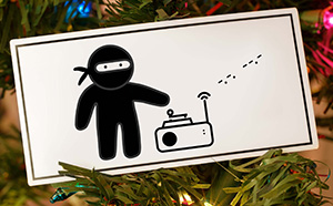 Ninja